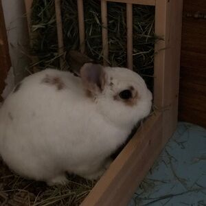 Meet your Posher, Jialin